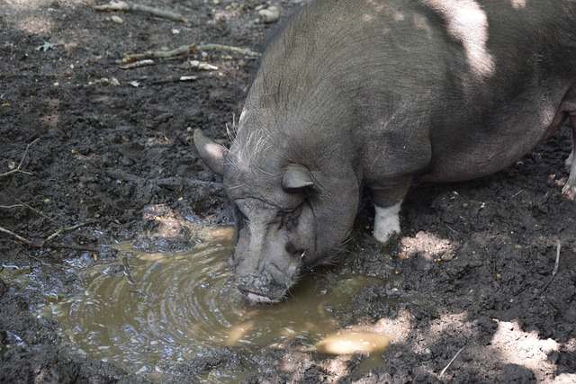到全国范围 到全国范围