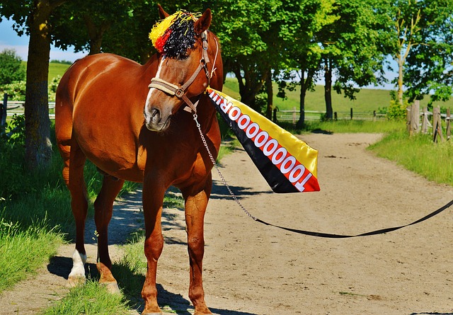 一个追逐梦 一个追逐梦