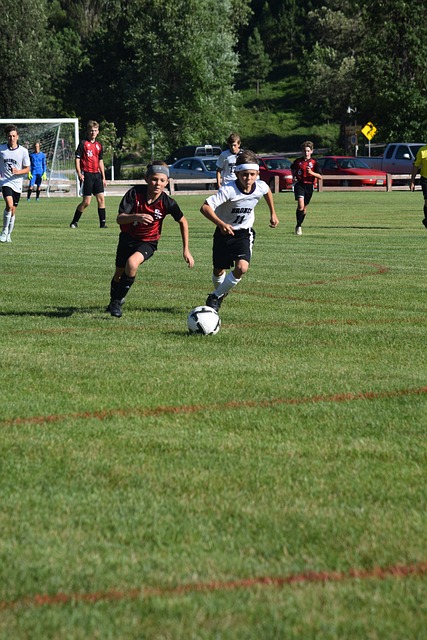 有小胖时期 有小胖时期