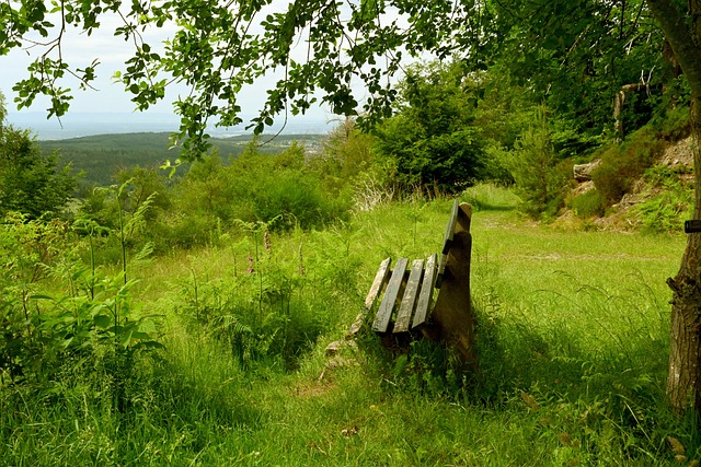 从目前的引 从目前的引