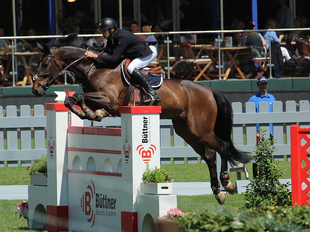 方向可能会 方向可能会