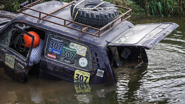 他的数据统 他的数据统