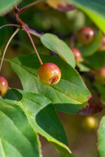 重聚可能性 重聚可能性