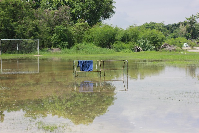(新春见闻)驻华使节组团感受“非遗版”春节 打卡特色“年味儿”.