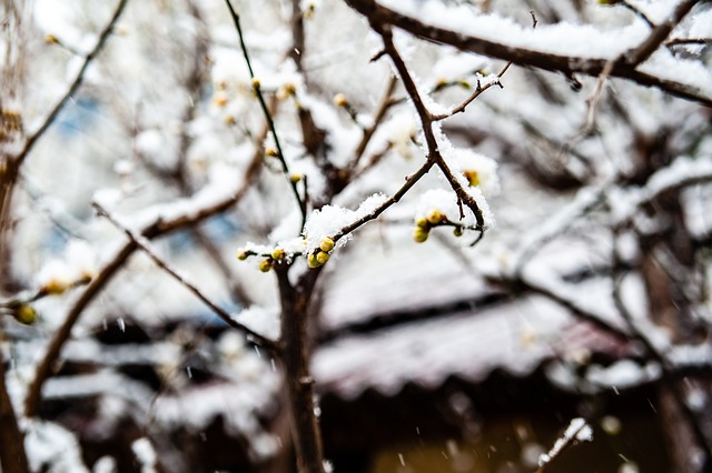 节奏 节奏